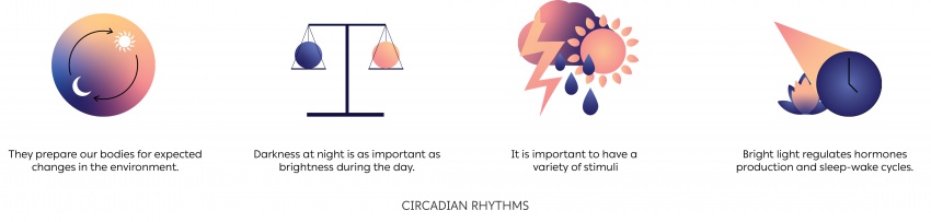 Circadian rhythms.jpg